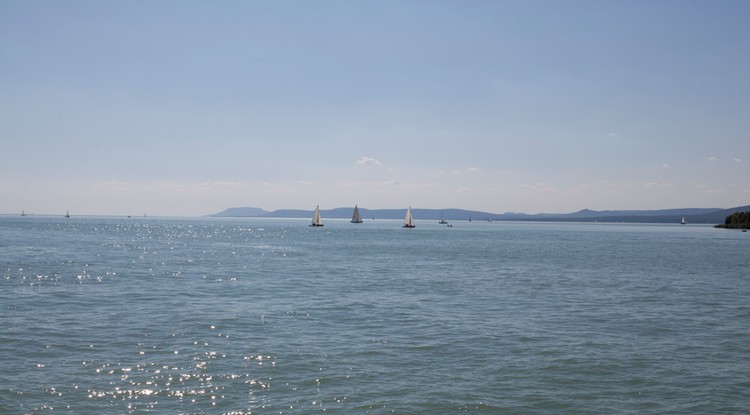 Szétalgásodik a Balaton: ezt kellene tenni a kutatók szerint a magyar tengerrel