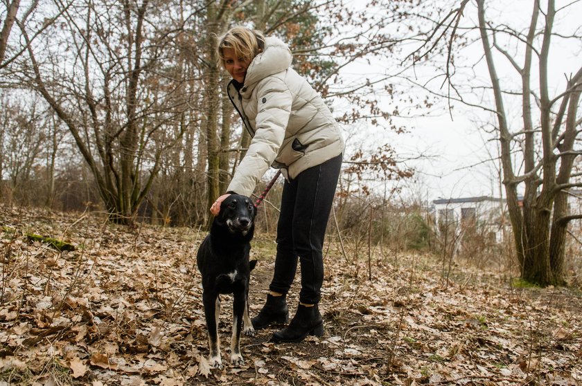 Przestraszonego pieska znalazła pani Dorota