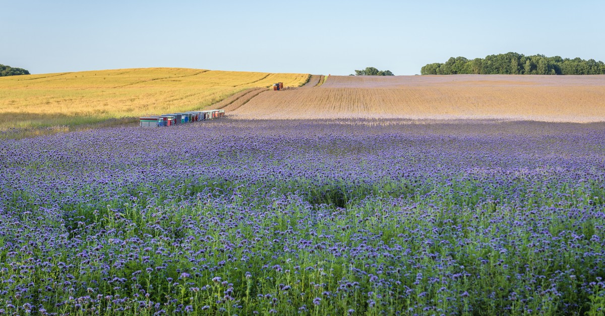 NSA: po stwierdzeniu nieważności części planu miejscowego możliwa decyzja o warunkach zabudowy