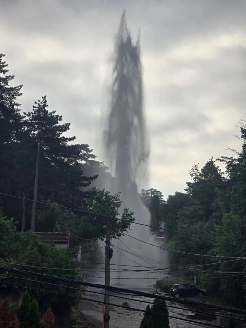 Gejzir u Drajzerovoj