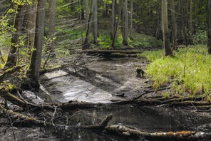 mazury warmia