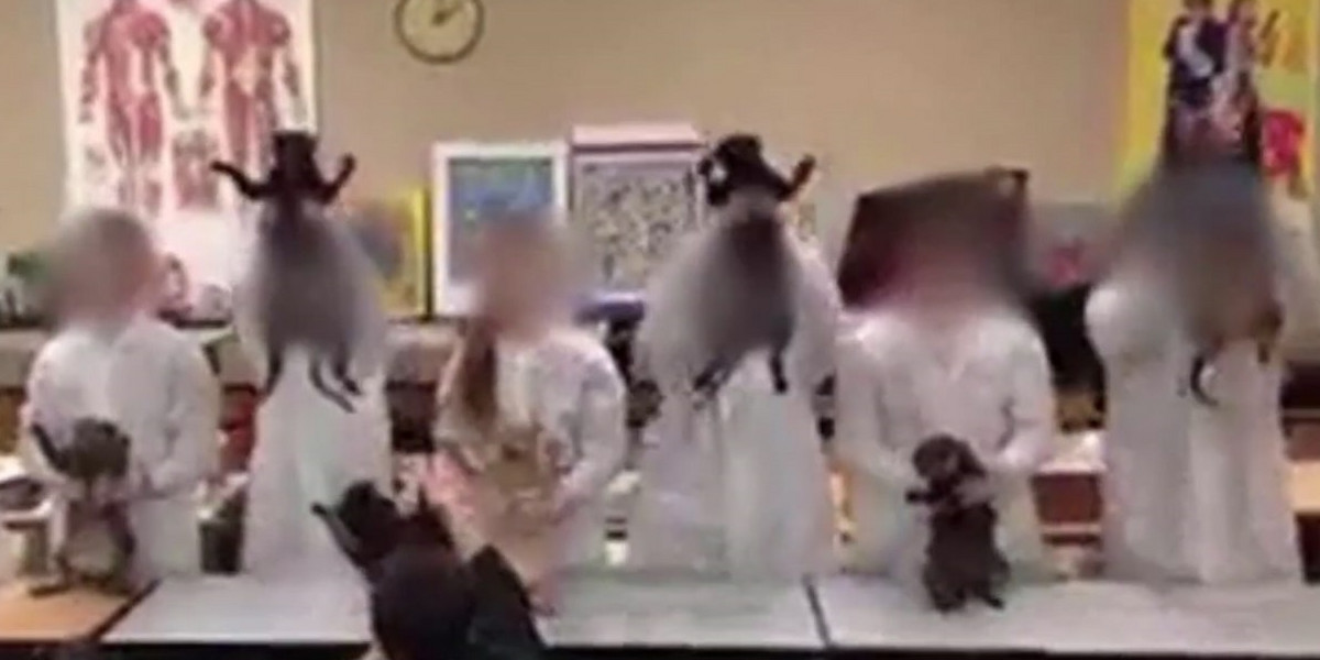 Studenci tańczą ze zwłokami kotów na lekcji anatomii