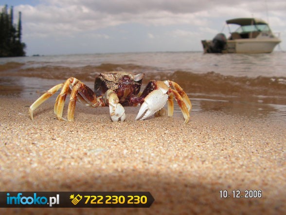 Najpiękniejsze wakacje tylko w Nowej Kaledonii