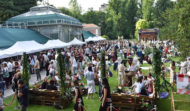 WINE GARDEN  