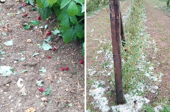 Malinjaci nastradali od grada