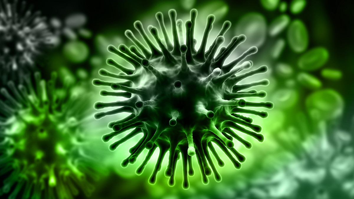 Świńska grypa zbiera śmiertelne żniwo na Śląsku. W wyniku zachorowań na grypą wywołaną wirusem AH1N1 zmarło już sześć osób. Do śmiertelnych przypadków doszło w Gliwicach, Katowicach i Piekarach Śląskich. Niebezpiecznie rośnie też liczba potwierdzonych zachorowań. Według najnowszych danych na tzw. na świńską grypę choruje już 81 osób.