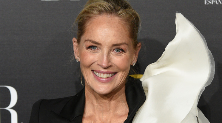 Sharon Stone bátran ismerkedik /Fotó: Northfoto