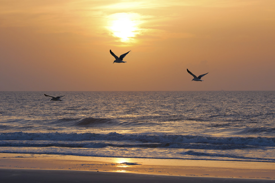 New Smyrna Beach - Floryda, USA