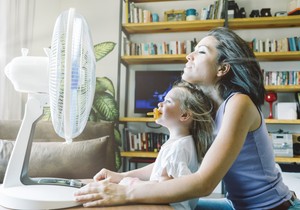 Ventilator