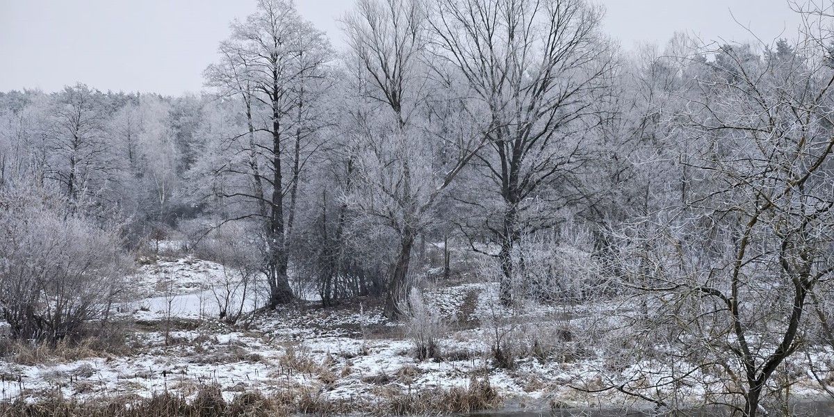 Zima wszędzie. We Wrocławiu minionej nocy temperatura spadła do -13 stopni, a przy gruncie było -20. 