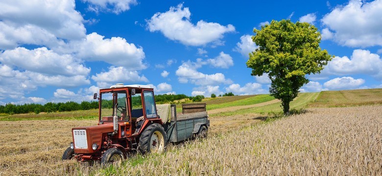 Rolnicy będą mogli sprzedawać swoje produkty bezpośrednio? Kukiz'15 ma nowy projekt ustawy