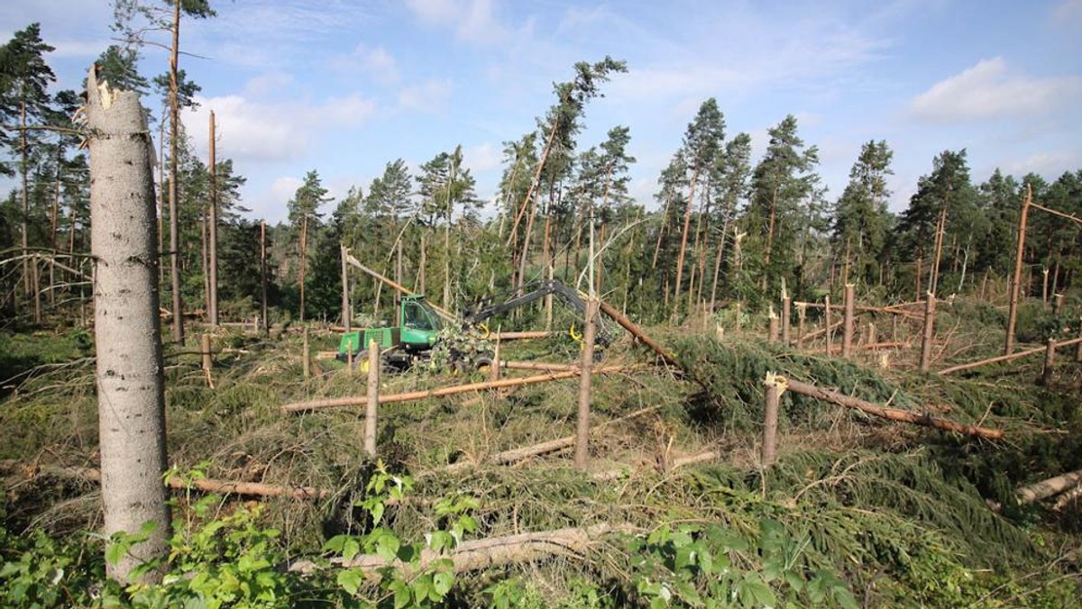 Wniosek ws. pomocy finansowej będzie głosowany przez gdyńskich radnych jeszcze w sierpniu. - W obliczu tak dużej tragedii mieszkańców Pomorza nie możemy stać obojętnie – mówi prezydent Wojciech Szczurek.