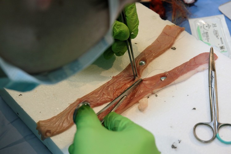 MISTRZOSTWA POLSKI W SZYCIU CHIRURGICZNYM