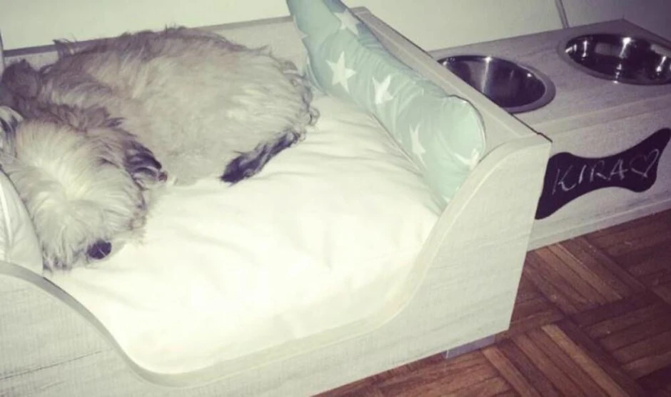 Dom Dušice Jakovljević