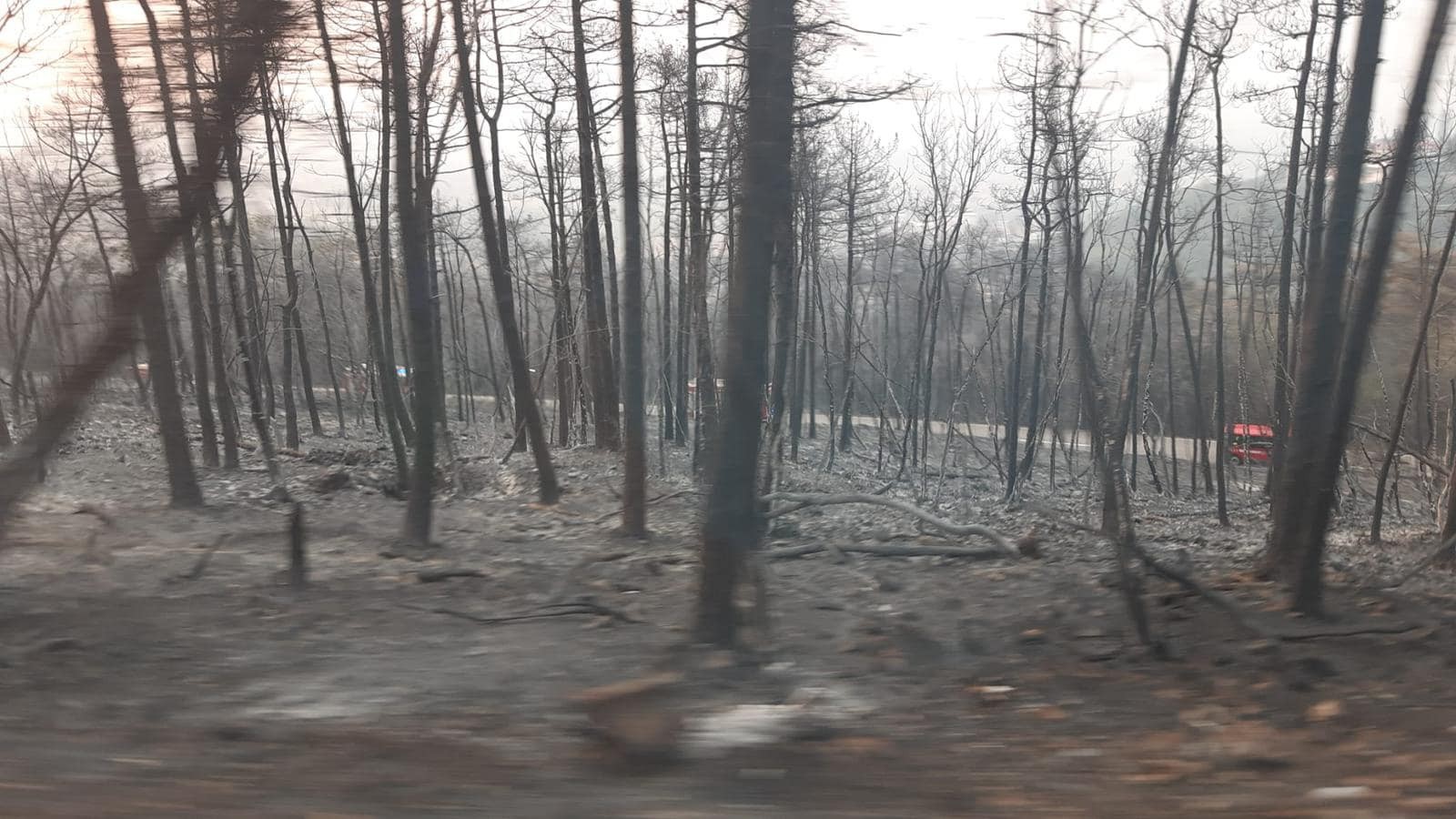 Slovenskí hasiči dorazili do Slovinska.