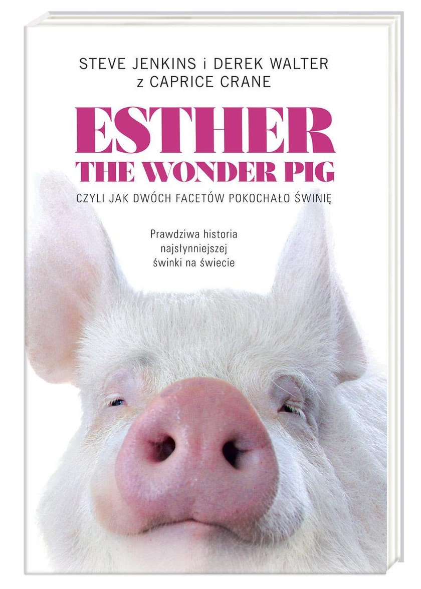 Esther the Wonder Pig