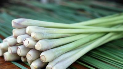 Lemongrass