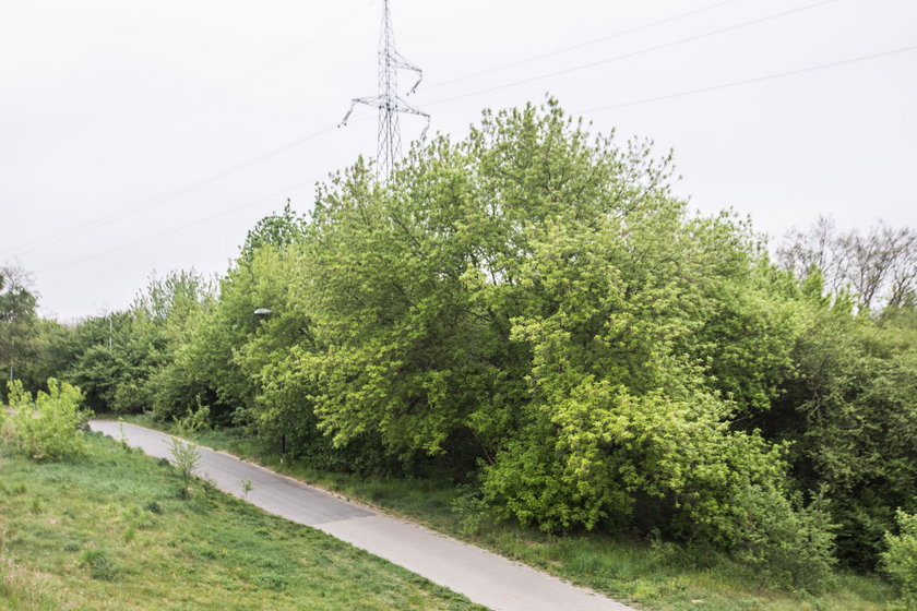 Policja poszukuje zboczeńca