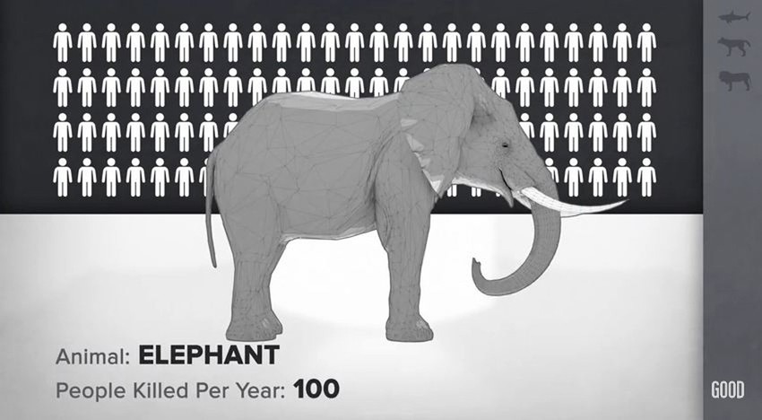 Čak i slon godišnje ubije više ljudi nego ajkula