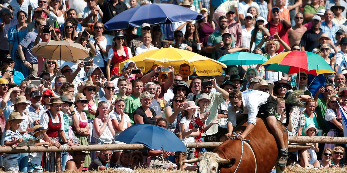 Farmer Franz Schaller on an ox called Napoleon during a traditional ox race in the southern Bavarian village of Muensing near Lake Starnberg in Germany.