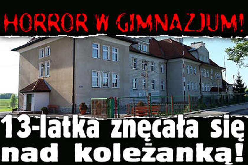 Horror w gimnazjum! 13-latka znęcała się nad koleżanką!