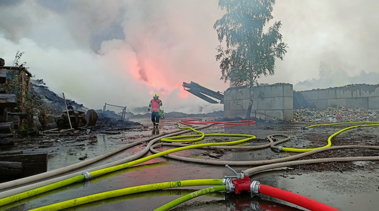 Tűz a sokolovszki Tisová ligniterőmű közelében / Fotó: Profimedia