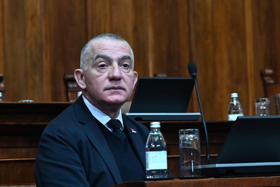 Vujić: Skupština Srbije danas šalje odgovor na mišljenje Venecijanske komisije