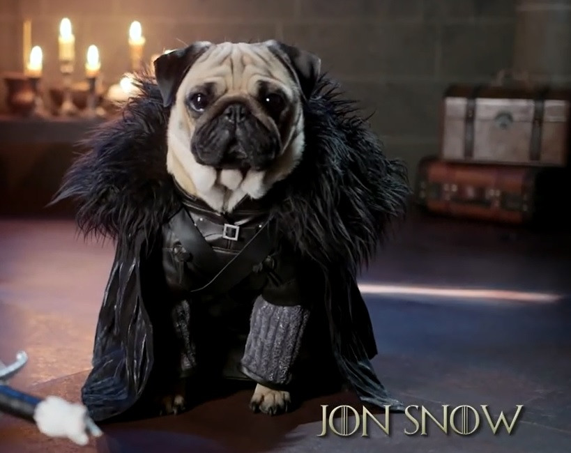 Jon Snow (Źródło: http://www.youtube.com/watch?v=X_-ojMJlFHI)