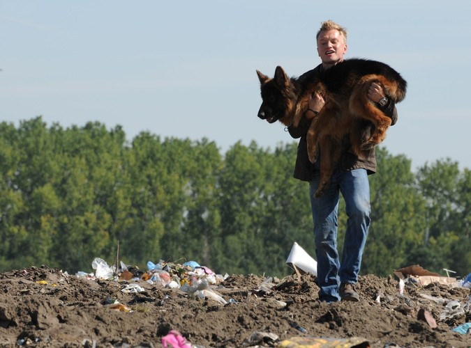 „Komisarz Alex” to polska wersją popularnej na całym świecie austriackiej serii kryminalnej „Komisarz Rex”, nadawanej z powodzeniem od 1994 r