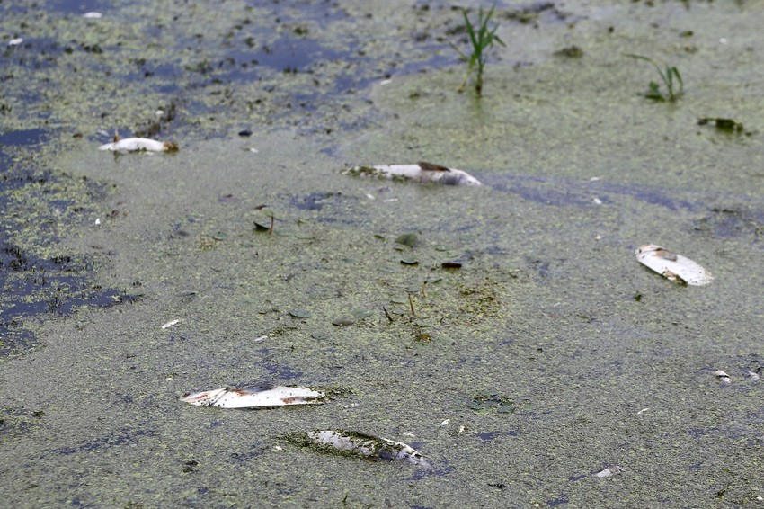 Nema kiseonika, ali ima zagađujućih materija