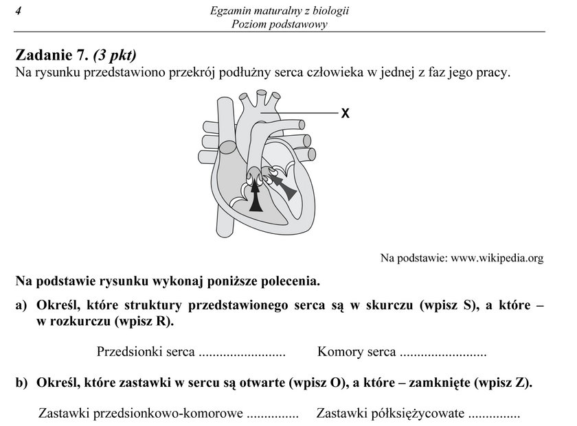 Matura z biologii 2013