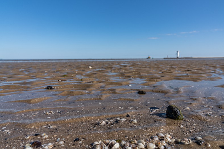 Plaża w Świnoujściu