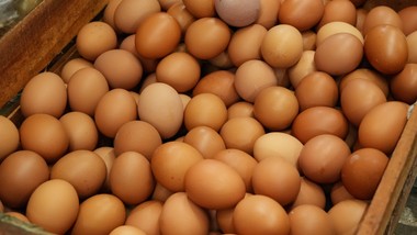 gis ostrzega przed salmonellą w partii jaj