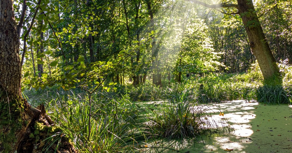 Niezgoda. Miejsce, gdzie człowiek i natura żyją w pełnej harmonii