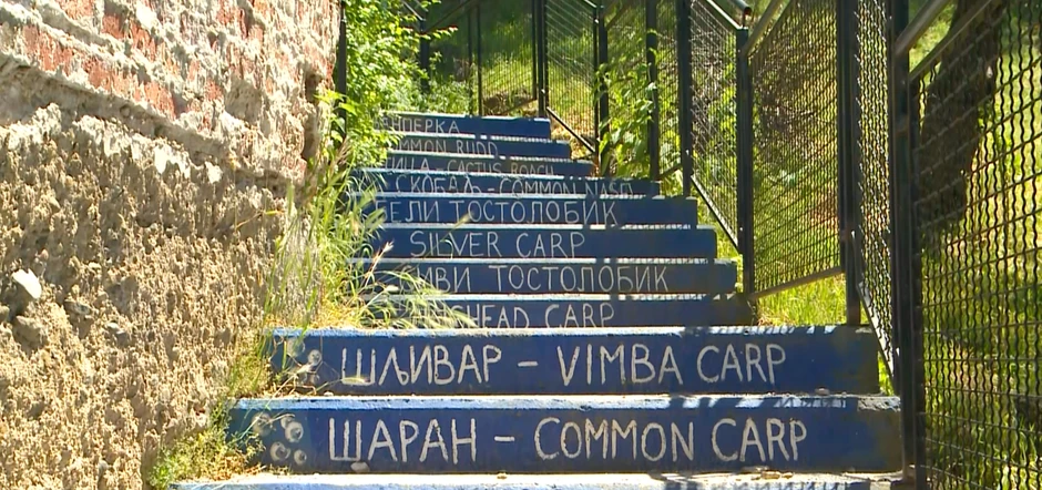 Mural sa ribama Dunava