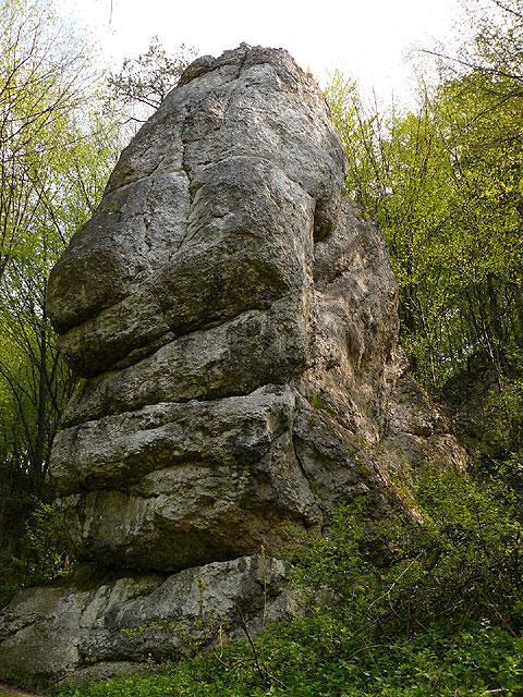 Galeria Polska - okolice Krakowa - Dolina Kobylańska, obrazek 8