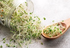 Prawdziwa bomba witaminowa. Możesz je wyhodować w kilka dni