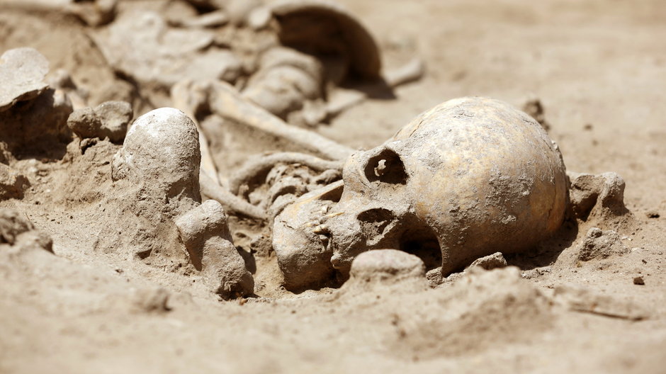 Co szkielety sprzed 5 tys. lat mówią nam o zmianach klimatycznych?