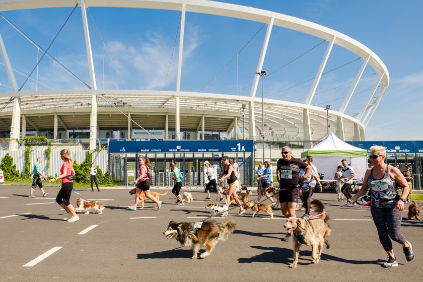 Psi Maraton po raz pierwszy zorganizowano w Parku Śląskim