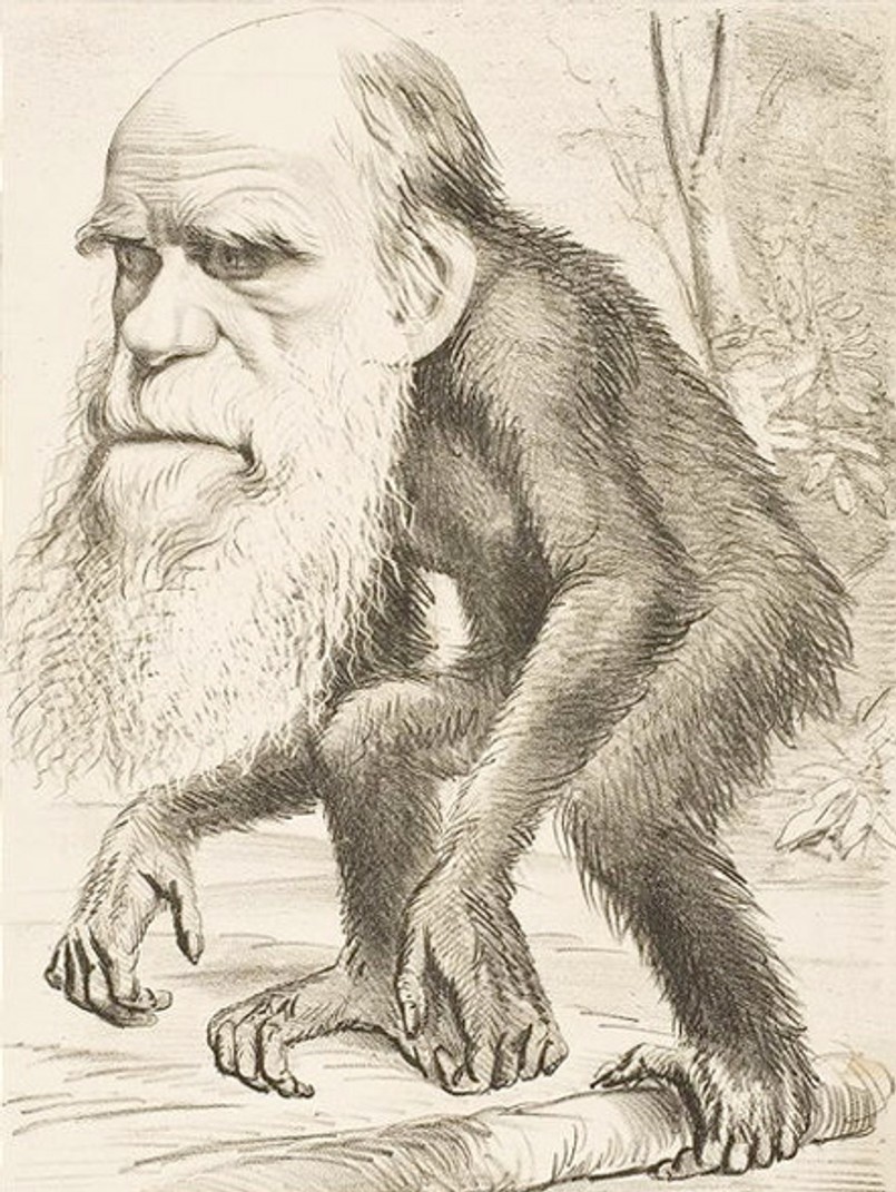Tak wyśmiewano Darwina