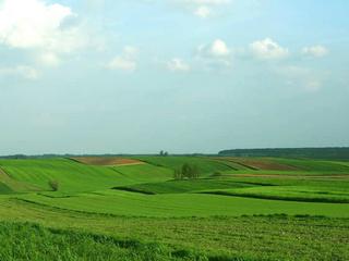 W sektorze rolnym w Polsce pracuje niemal 1,5 miliona ludzi