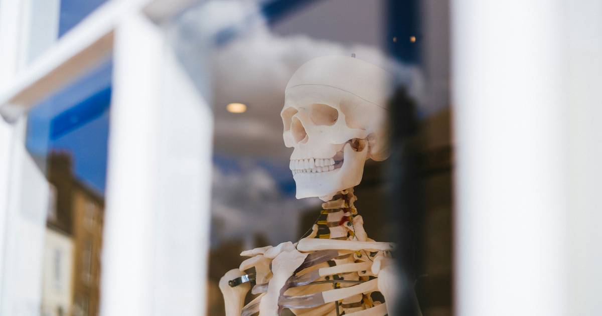 Myślisz, iż znasz anatomię swojego ciała? Ten quiz cię skompromituje