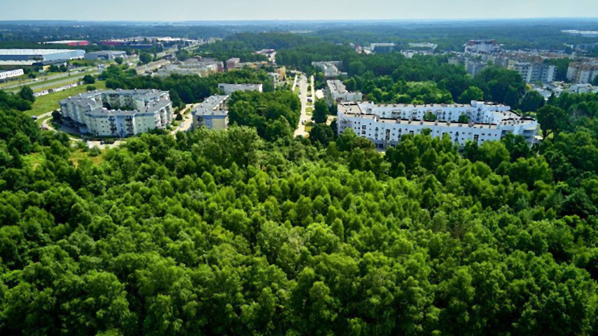 60 ha terenów zielonych zamiast nowego osiedla. Mieszkańcy Łodzi wywalczyli nowy park