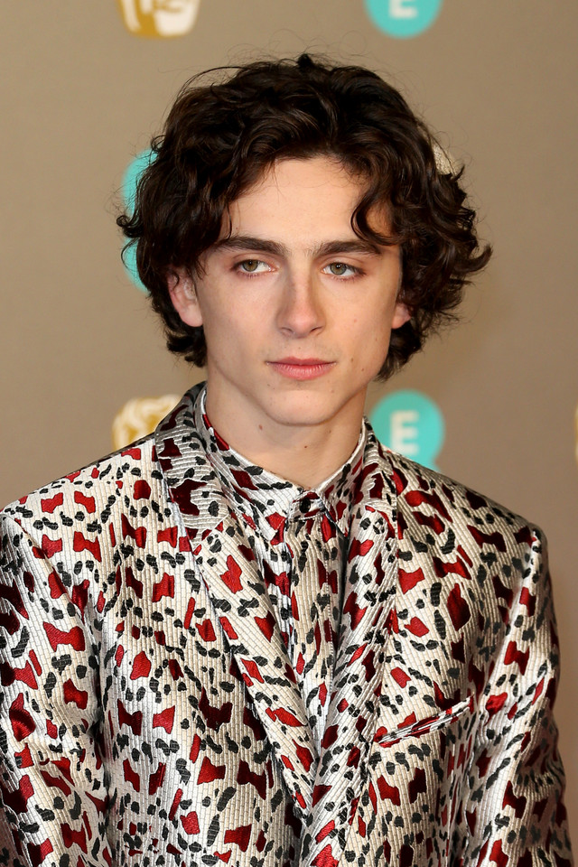 Timothée Chalamet