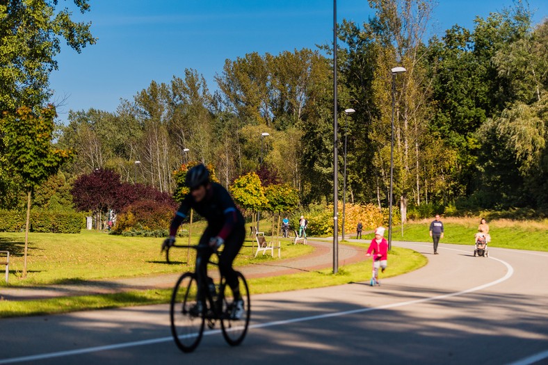 Dolina trzech stawów nazywana jest katowickim Central Parkiem 