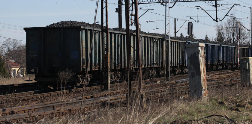 Szokujące sceny. Kradł węgiel, stracił rękę