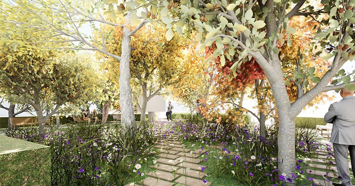 Sadzenie, przycinanie, przeglądanie. Zielony Wrocław szykuje się do wiosny