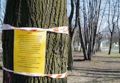 Jesteśmy gotowi na kolejne ograniczenia? SONDAŻ DGP i RMF FM