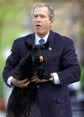 Wszystkie psy prezydenta / 10.jpg
