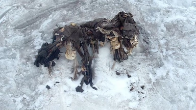 Alpejskie lodowce odsłaniają ciała żołnierzy poległych podczas I wojny światowej